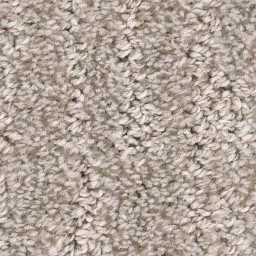 carpet_fl